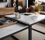 2-in-1 Coffee Table