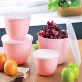 Foodish Containers-Pack Of 4