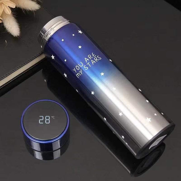 Smart LED Active Temperature Display Bottle 500ml